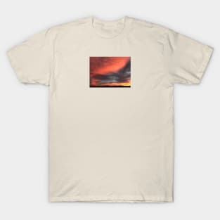 Fiery flight T-Shirt